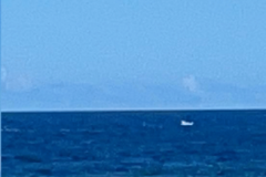 名称未設定のデザイン - 1