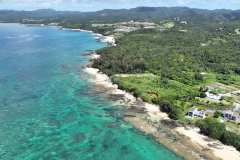 DJI_0858