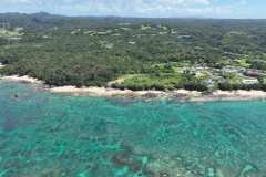DJI_0865
