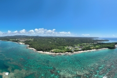 DJI_0866