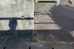 1_pic-6